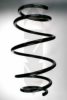 SPIDAN 55107 Coil Spring